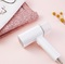 Отпариватель Ручной Lofans Our Family Steam Brush GT-301W